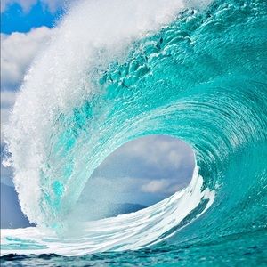 Meet your Posher, Alana